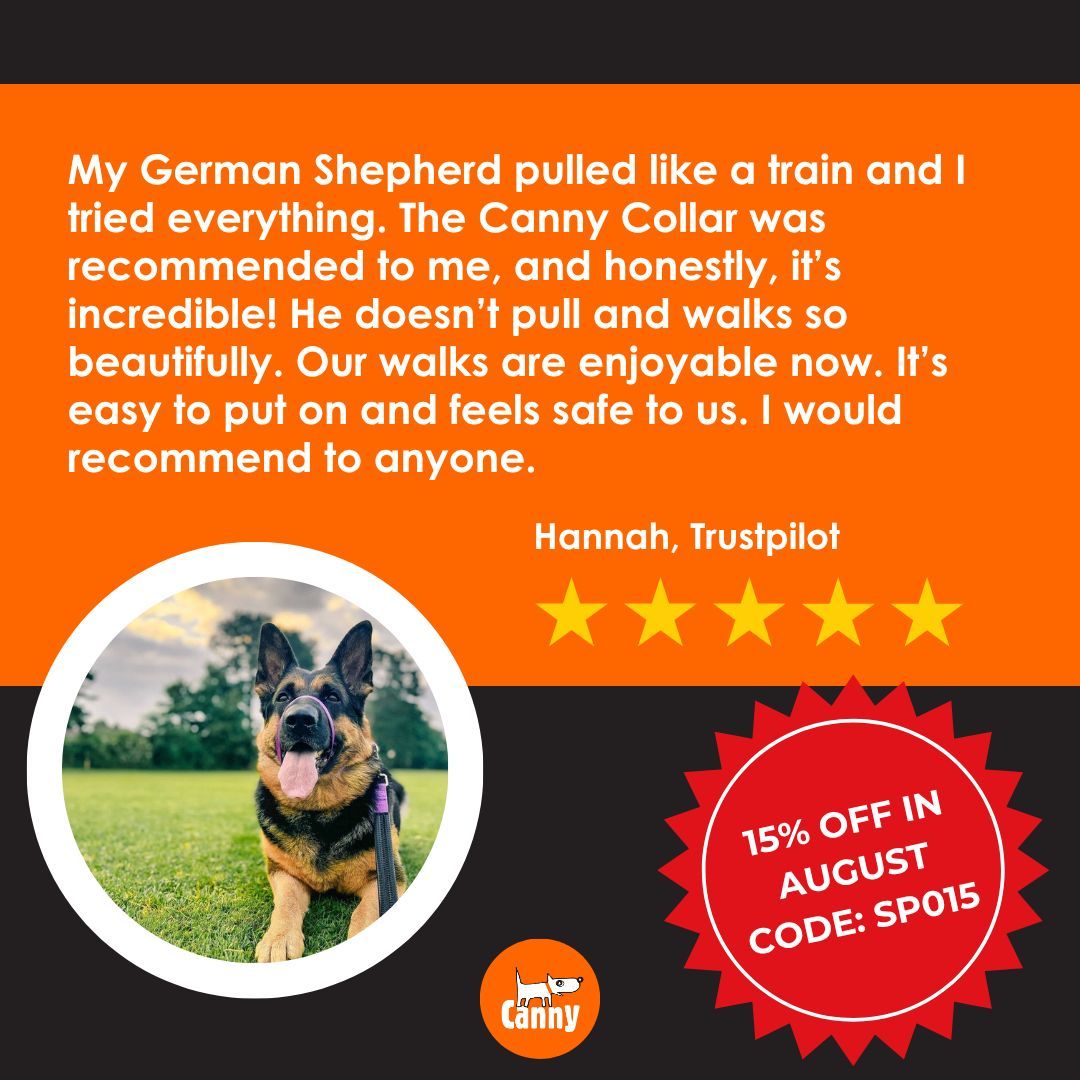From tug-of-war to tail-wags 🐕💛
Thanks for the love, Hannah – we’re so glad the Canny Collar is making walks stress-free!

August only → 15% OFF everything with SP015
 🛒 cannyco.co.uk/collections 

#DogTraining #DogParents #DogOwnerLife #GermanShepherd #DogWalks