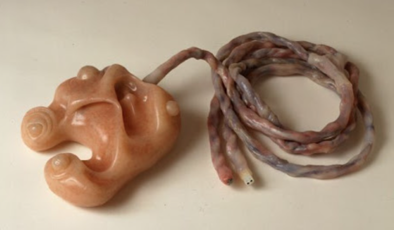 AbnormalWays tweet media