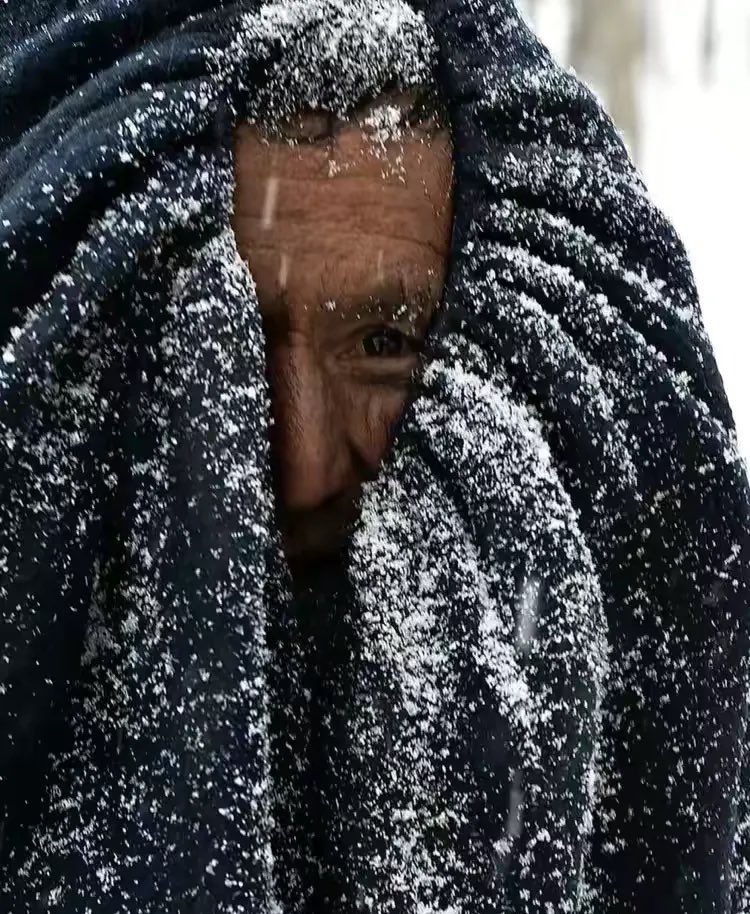 𝙻𝚞𝚌𝚌𝚊 tweet media