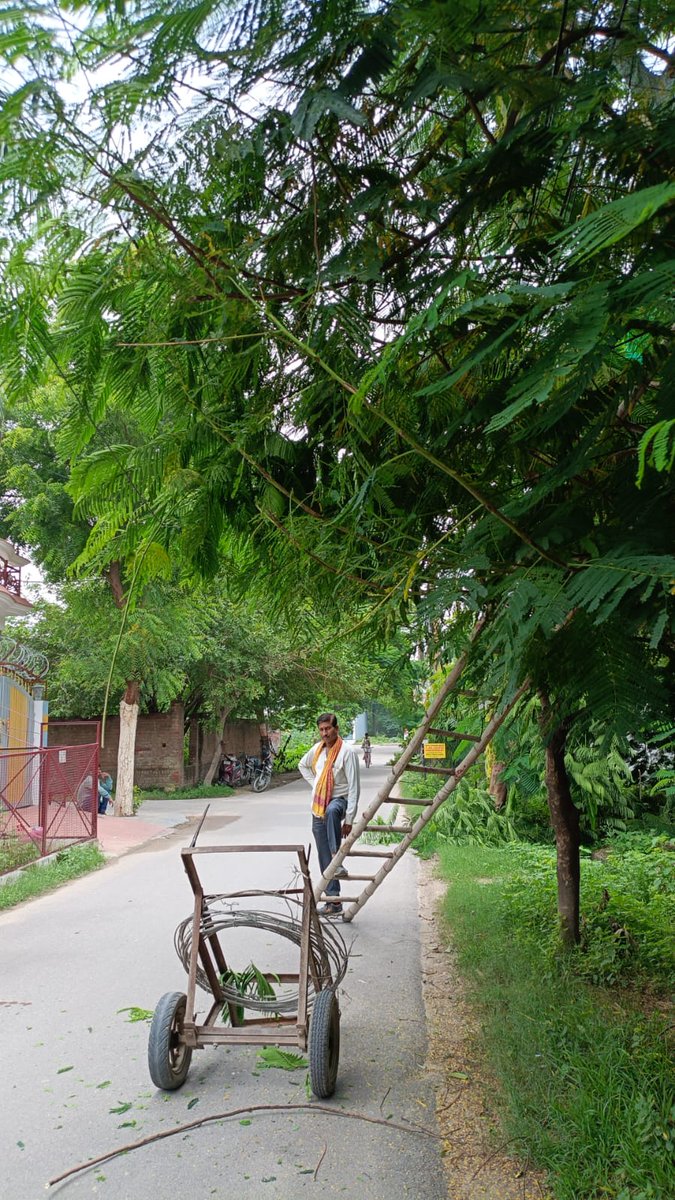 seeudc7's tweet photo. Tree cutting at mansarovar substation under EUDC Vrindavan amausi zone Lucknow on dt 02.08.2025
@aksharmaBharat 
@CMOfficeUP 
@MVVNLHQ 
@MVVNLmd 
@UPPCLLKO 
@ZoneAmausi https://t.co/EAzIuI0aPN