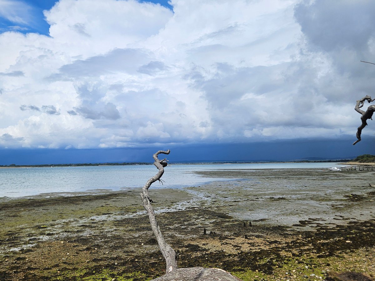 A stormy afternoon at East Wittering was a fascinating nature watch as I stood in warm sunshine looking out on to the aqua waters watching a strom the other side build! 

While out in nature what have you observed this week? 

#nature #environment #education #climatechange