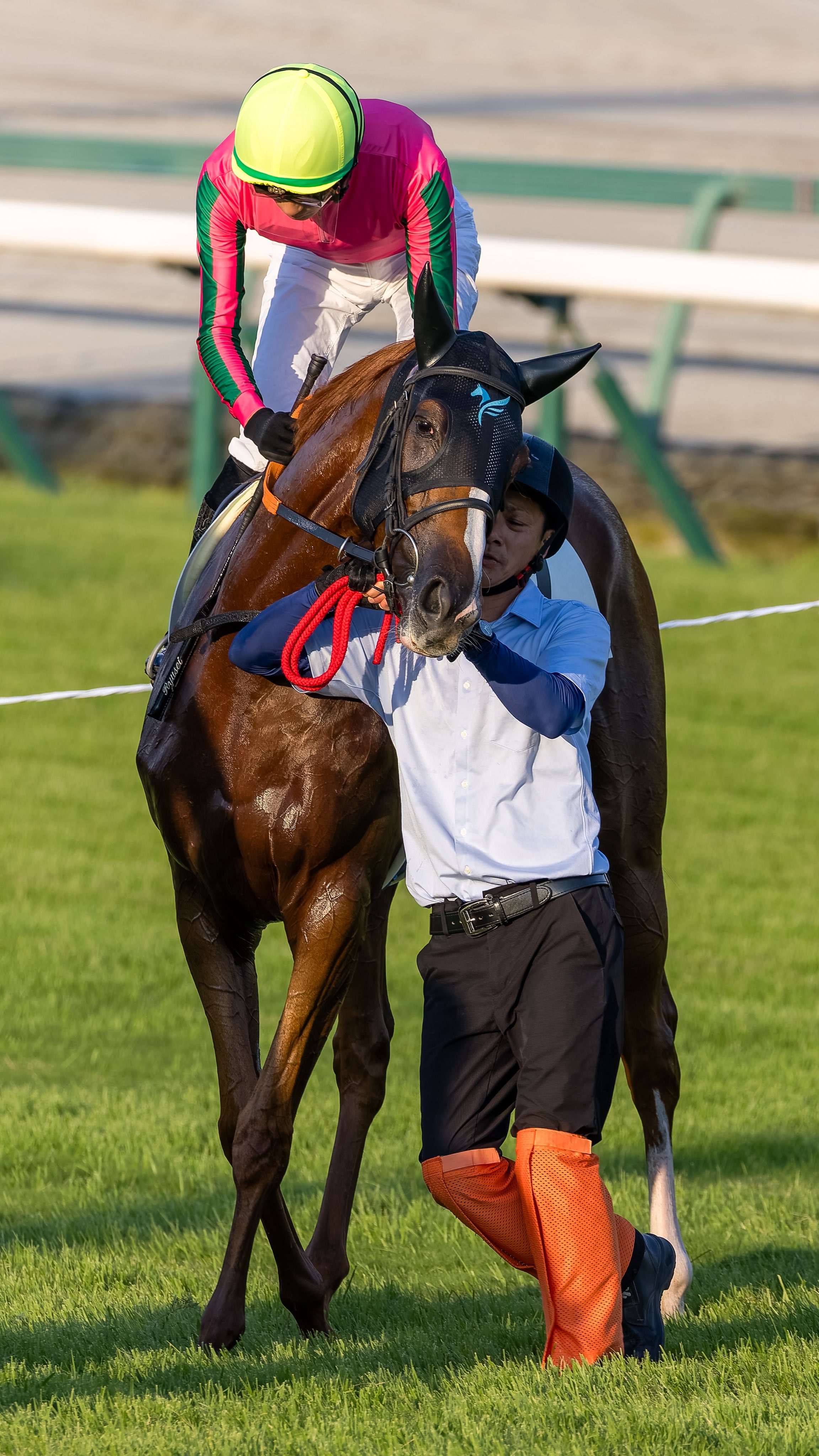 中央競馬LD年鑑【1985年度・レーザディスク】 2025年最新】年鑑 中央競馬 dvdの人気アイテム - メルカリ