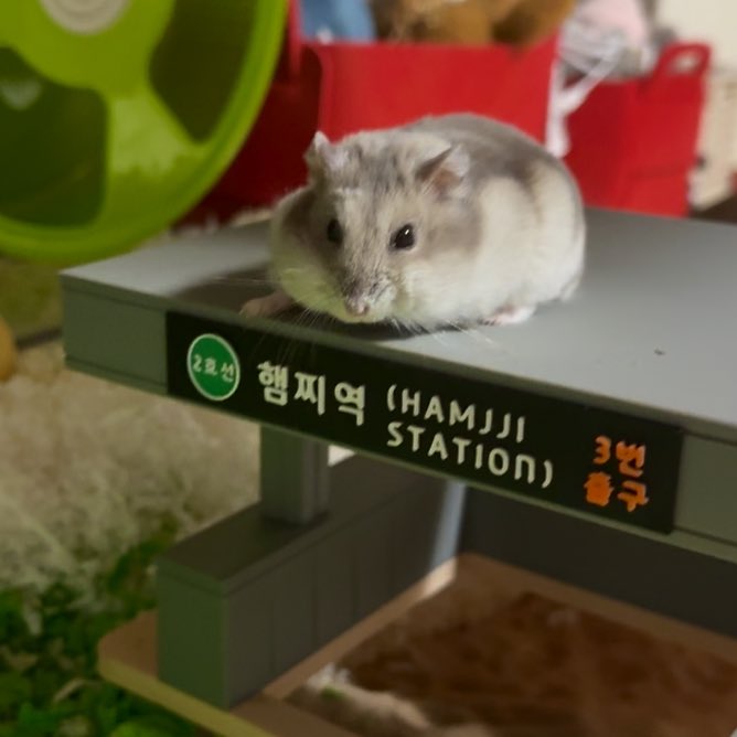 너가 올라가 놓고 왜 삐죽이눈이죠?