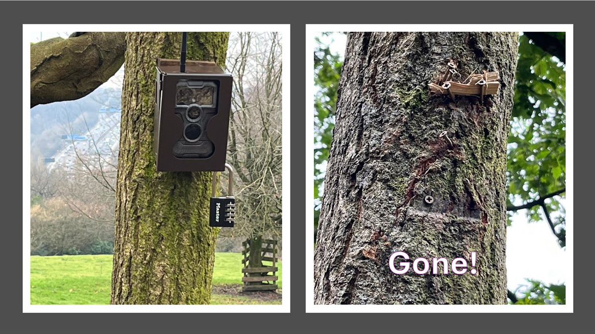 Our wildlife camera at Philips Park has been stolen! 😡

Across our sites, we've had even more acts of vandalism this year. Volunteers put in hundreds, probably thousands, of hours of time and care into these beautiful sites. 

Report a crime : gmp.police.uk/ro/report/
