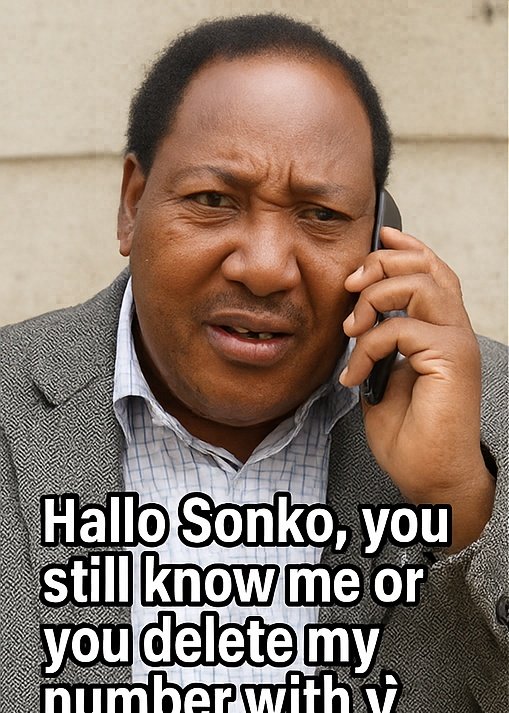 MellyDominic1's tweet photo. @MikeSonko https://t.co/potDsLUq9U