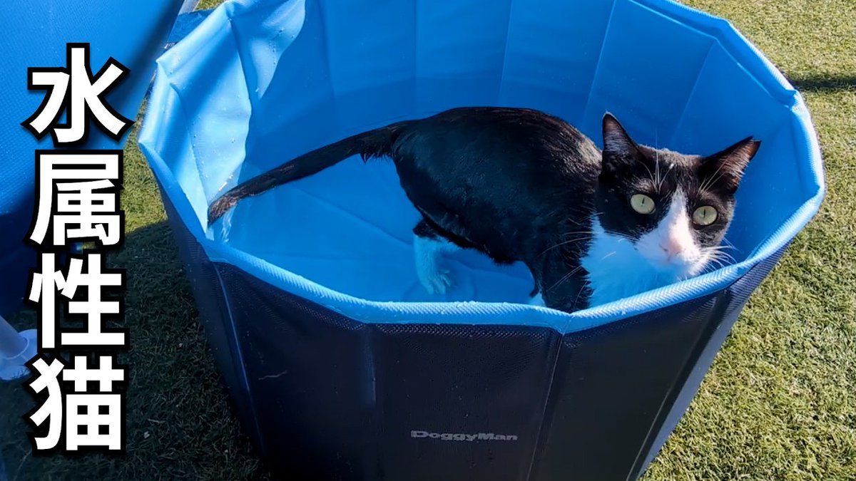 たけちゃん 駄菓子屋たけちゃん (@dagashiyatake.chan) • Instagram photos and videos