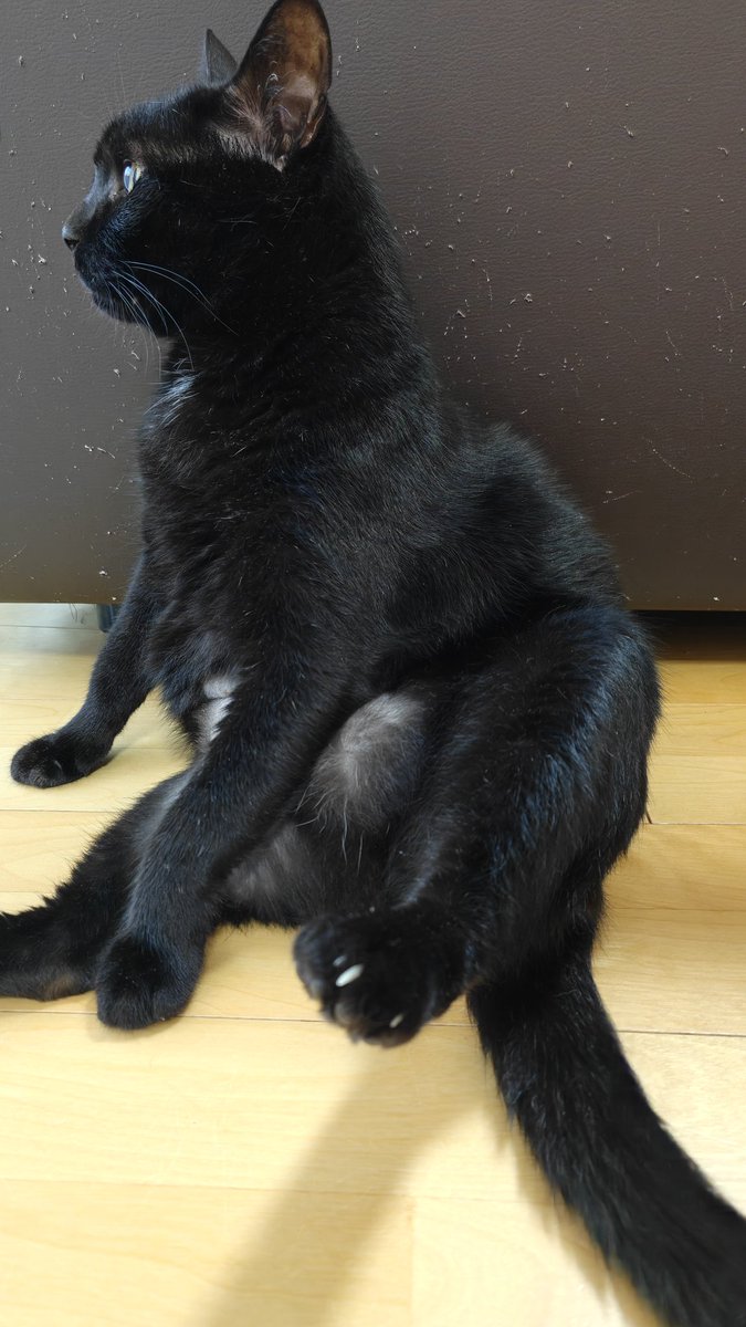 kuro5gou's tweet image. 