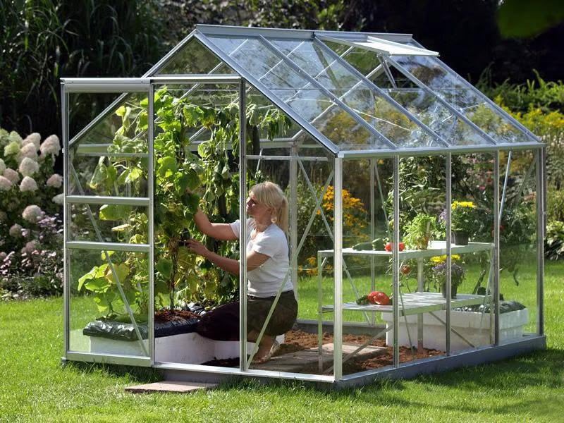 allotmentonline (@allotmentonline) on Twitter photo Day 2 of our National Allotment Week Competition offers the chance to WIN a Vitavia Venus 2500 Greenhouse from <a href="/GreenhousesUK/">Greenhouse Stores</a> !
Please follow, tag,
RT and enter on the link below:
allotmentonline.co.uk/win-a-vitavia-…
#win #competition #greenhouse #gardenuk Day 2 of our National Allotment Week Competition offers the chance to WIN a Vitavia Venus 2500 Greenhouse from <a href="/GreenhousesUK/">Greenhouse Stores</a> !
Please follow, tag,
RT and enter on the link below:
allotmentonline.co.uk/win-a-vitavia-…
#win #competition #greenhouse #gardenuk