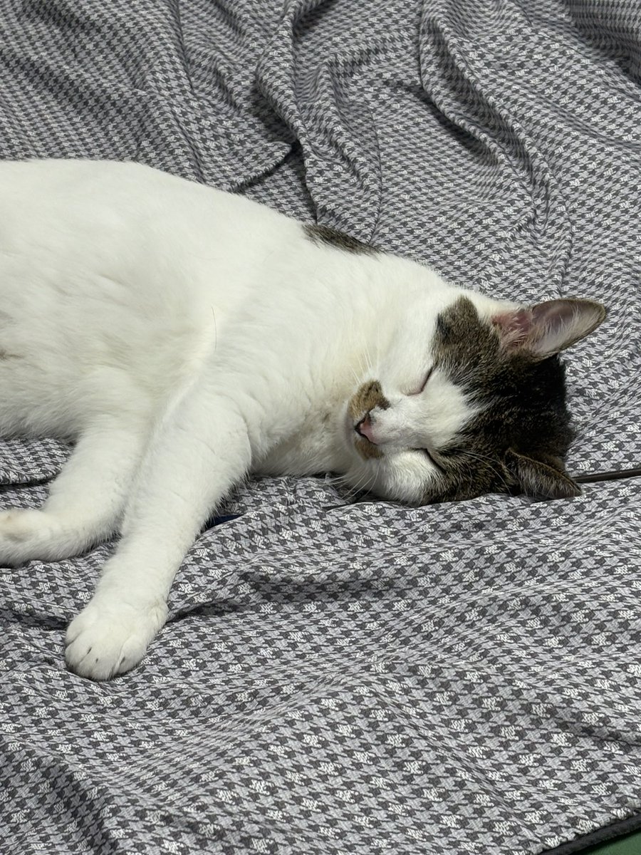 8월 마음가짐이 어떻게 되세요? 
   ㄴ커어어푸데데덷커어어드렁슨