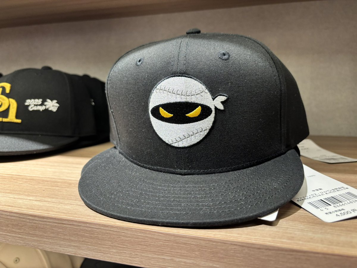 Pitching Ninja <a href="/PitchingNinja/">Rob Friedman</a> representing in #Fukuoka! #sbhawks