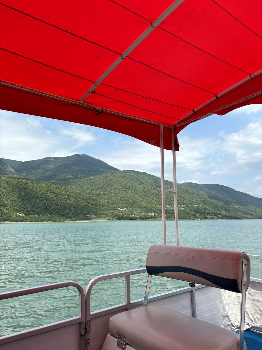 Shatha Alghamdi tweet media