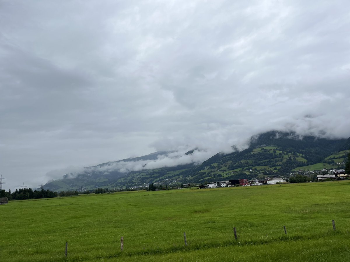 مرشد سياحي في سويسرا 🇨🇭النمسا 🇦🇹 ألمانيا 🇩🇪 tweet media