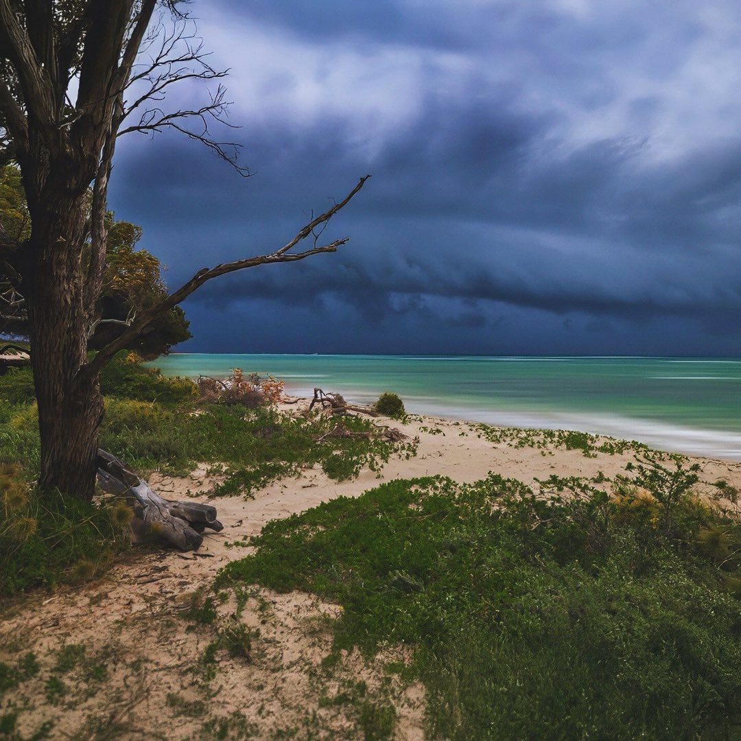 Emancipation from a storm /.