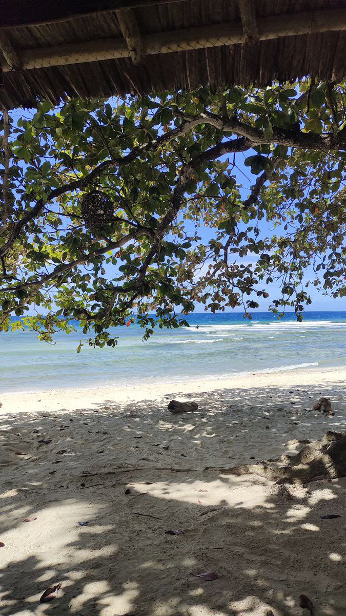 creamshit🥵 tweet media