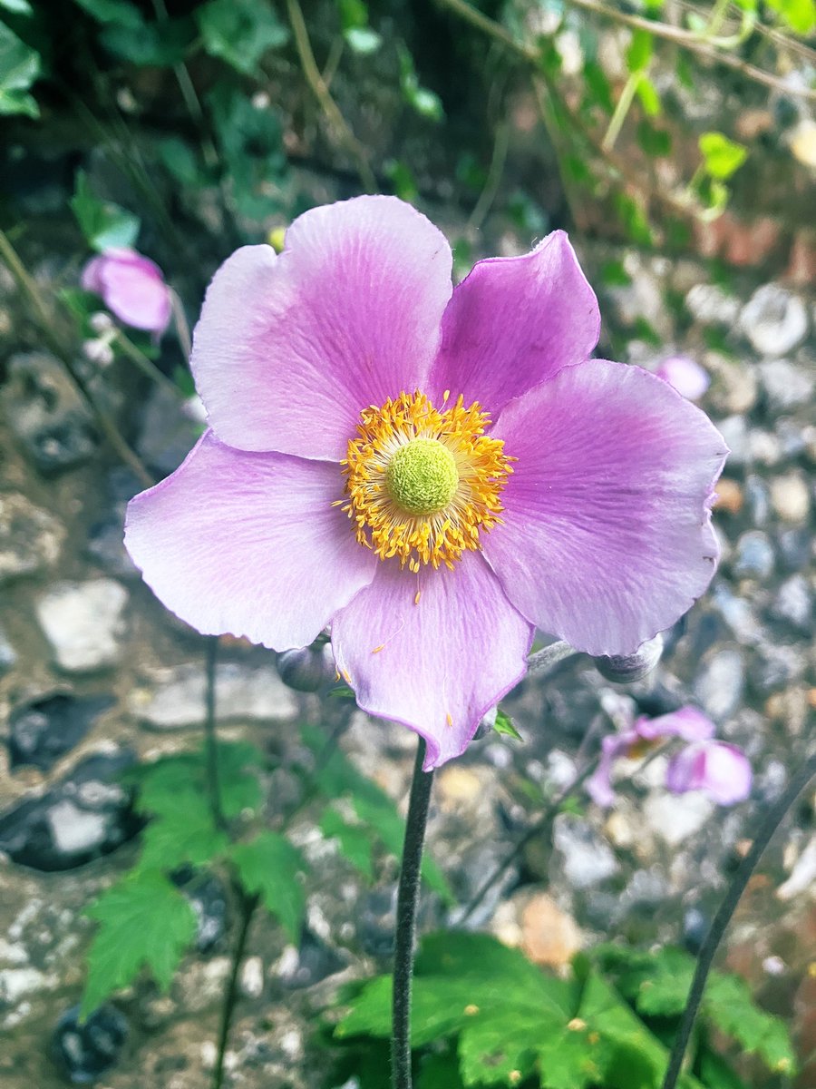 Good morning 𝕏! Happy Saturday 💝