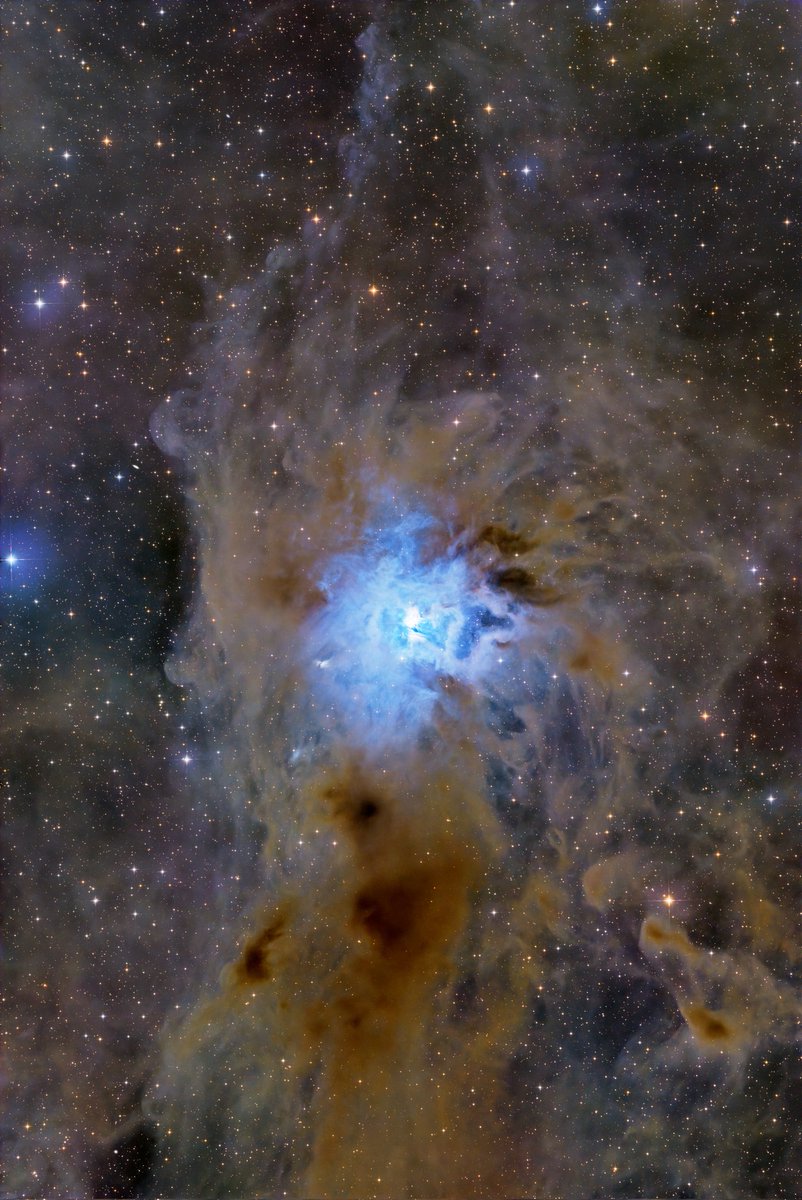 昨晩撮影したNGC7023アイリス星雲付近です。
分子雲をどこまで引き出すか悩みました。
総露光4時間10分@宮崎県諸塚村
#BKP200 #ASI2600MCP