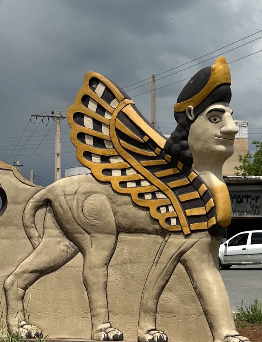 bahro0os1's tweet image. ایرانی بس کن :)))