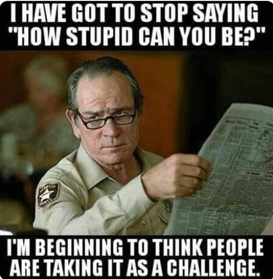 BagOfCats tweet media