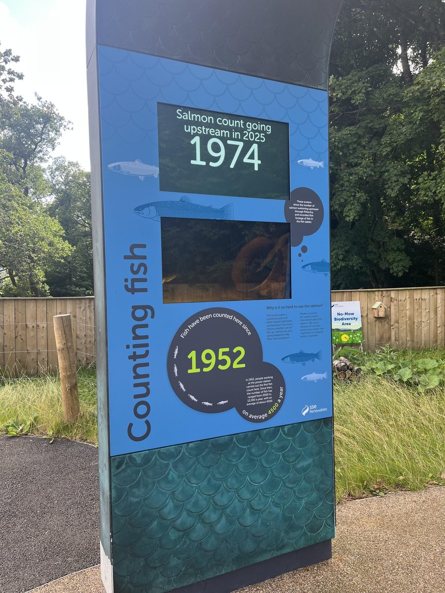 Ladder count 1974
Water temp 63F  ( 17.2C)
Saturday 2/8/25  10:16 BST