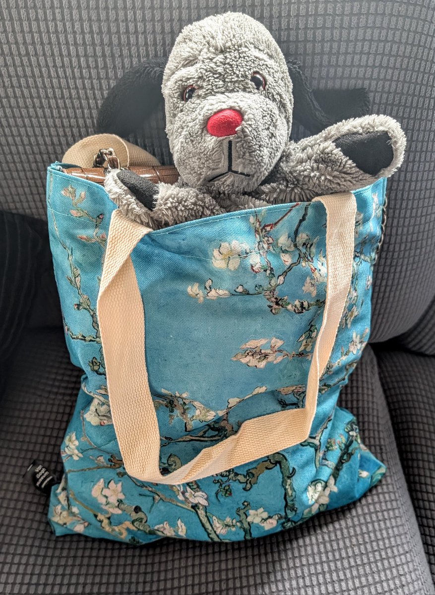 Helllooo 👋
#SweepOnHoliday #SweepOutAndAbout
Nic's going on her jollies.. I'm coming too.. Someone's got to make sure she behaves!