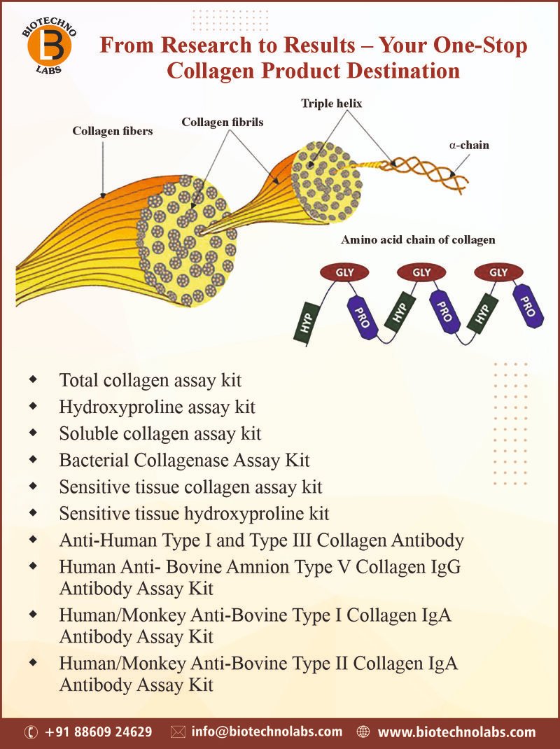 BTL Biotechno Labs Pvt Ltd (@biotechnolabs) on Twitter photo Connect with us at info@biotechnolabs.com to learn more about are Collagen Assay Kits/Collagen Detection Kits in India at competitive prices.
#CollagenResearch #CellBiology #Hydroxyproline #ResearchIndia #LifeScienceIndia #BTLBiotechnoLabsPvtLtd Connect with us at info@biotechnolabs.com to learn more about are Collagen Assay Kits/Collagen Detection Kits in India at competitive prices.
#CollagenResearch #CellBiology #Hydroxyproline #ResearchIndia #LifeScienceIndia #BTLBiotechnoLabsPvtLtd