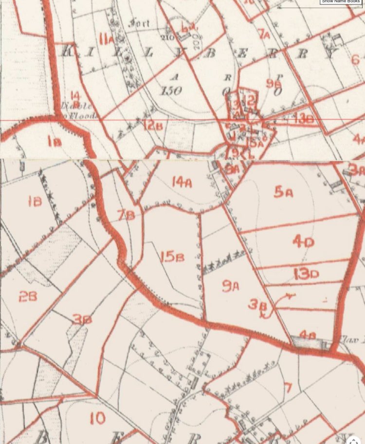 IGRS Top Research Tip #166: Your ancestor’s farm may have overlapped townlands. 1st note all plots with your ancestor’s name in Griffith’s PV, then check against numbered plots on corresponding valuation maps for any that adjoin or are in close proximity: askaboutireland.ie/griffith-valua…
