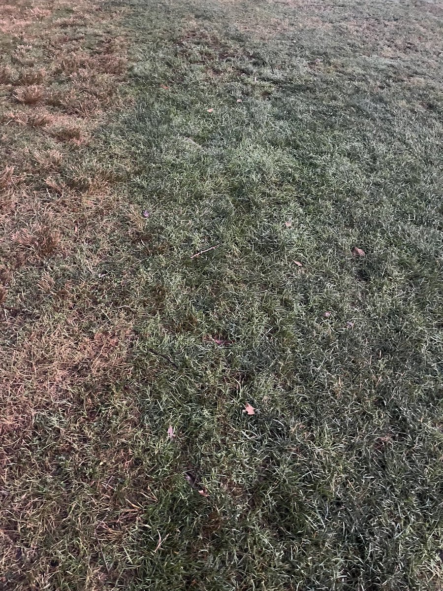 josh lennie (@joshlennie) on Twitter photo Thinking about root pruning? Do it. This is un-irrigated rough along the tree holding on through this brutal weather. Give <a href="/JandM2014/">Marvin Seaman</a> a shout. Heโll take care of you. Thinking about root pruning? Do it. This is un-irrigated rough along the tree holding on through this brutal weather. Give <a href="/JandM2014/">Marvin Seaman</a> a shout. Heโll take care of you.