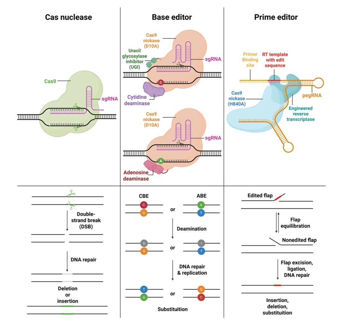 BiologyAIDaily's tweet image. Revolutionizing CRISPR Technology with Artificial Intelligence

1. This review article explores the transformative role of artificial intelligence (AI) in advancing CRISPR technology, highlighting its potential to enhance precision, efficiency, and safety in genome engineering.…