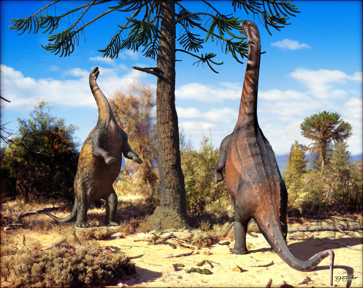 The PalAss (@thepalass) on Twitter photo Standing giants: a digital biomechanical model for bipedal postures in sauropod dinosaurs onlinelibrary.wiley.com/doi/10.1111/pa… <a href="/MorphoSource/">MorphoSource</a> <a href="/wileyearthspace/">Wiley Earth and Space Science</a> Standing giants: a digital biomechanical model for bipedal postures in sauropod dinosaurs onlinelibrary.wiley.com/doi/10.1111/pa… <a href="/MorphoSource/">MorphoSource</a> <a href="/wileyearthspace/">Wiley Earth and Space Science</a>