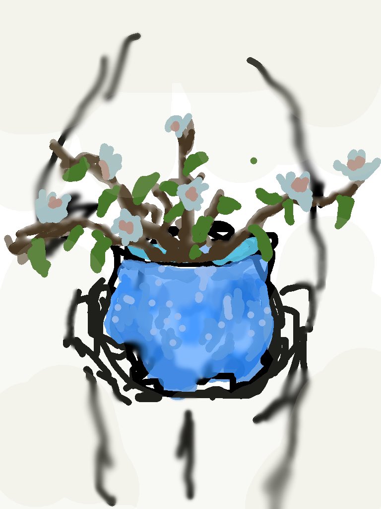 木槿