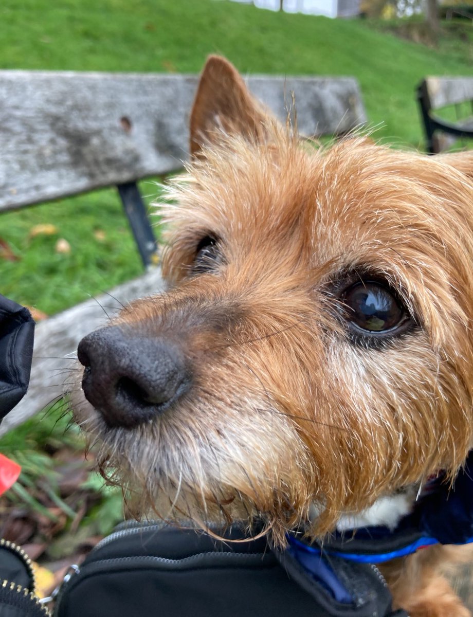 Good morning everyone, Happy Saturday! Hope you’re all well. 
Love you my friends 😊😊🐶🐶😇😇