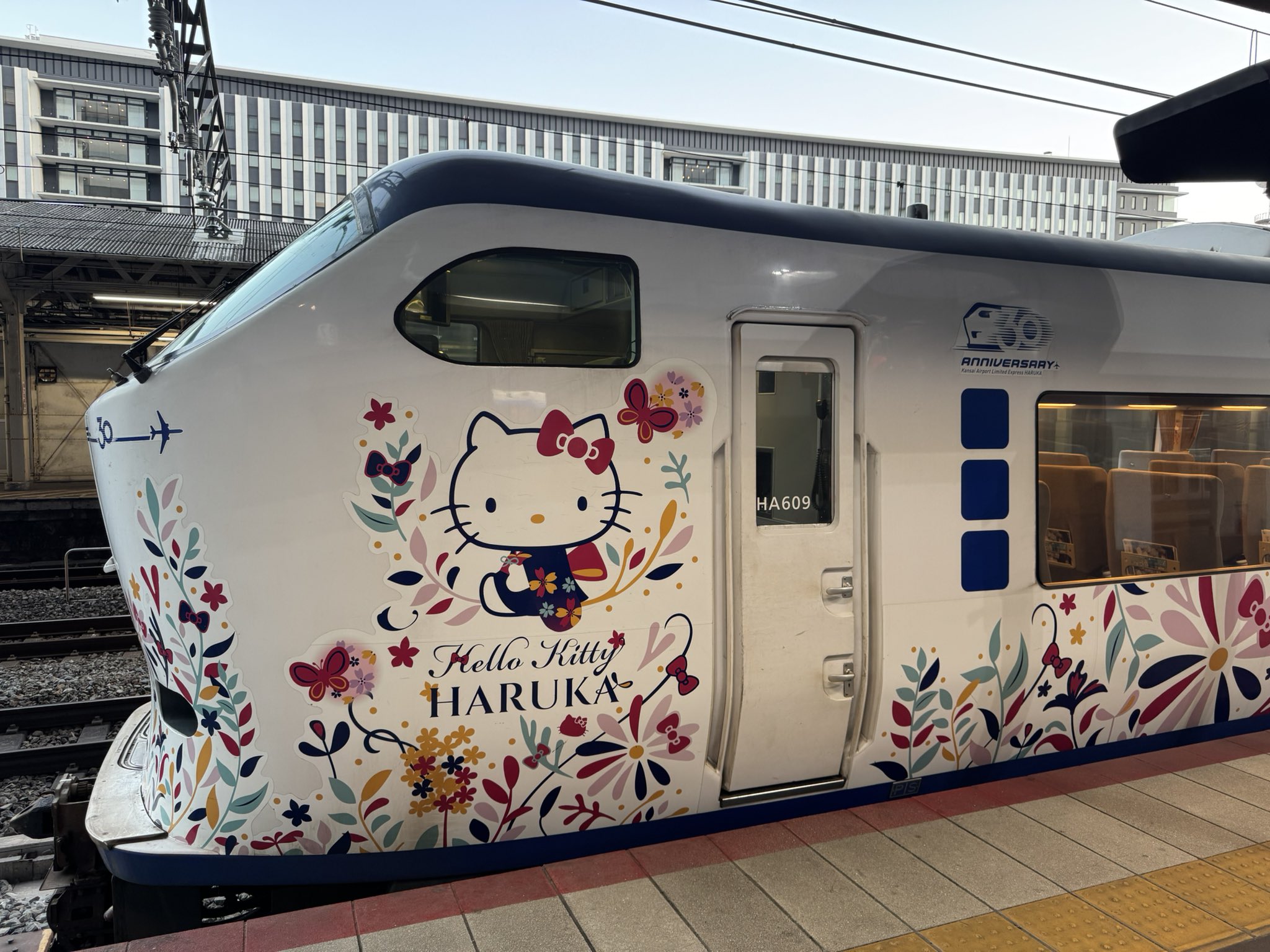 Cat Train Japan: Unveiling Feline Travel Wonders