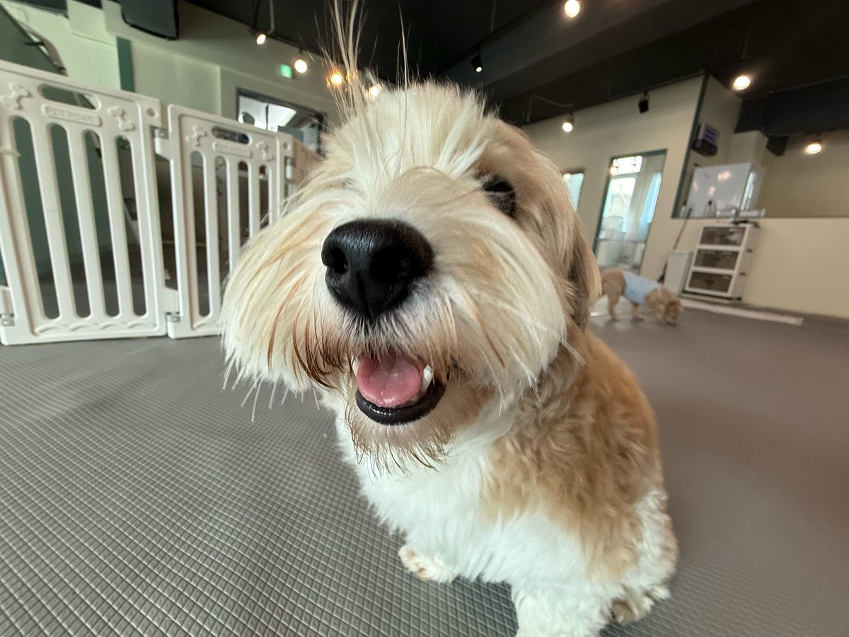 애플 (@lovelyapple1211) on Twitter photo 