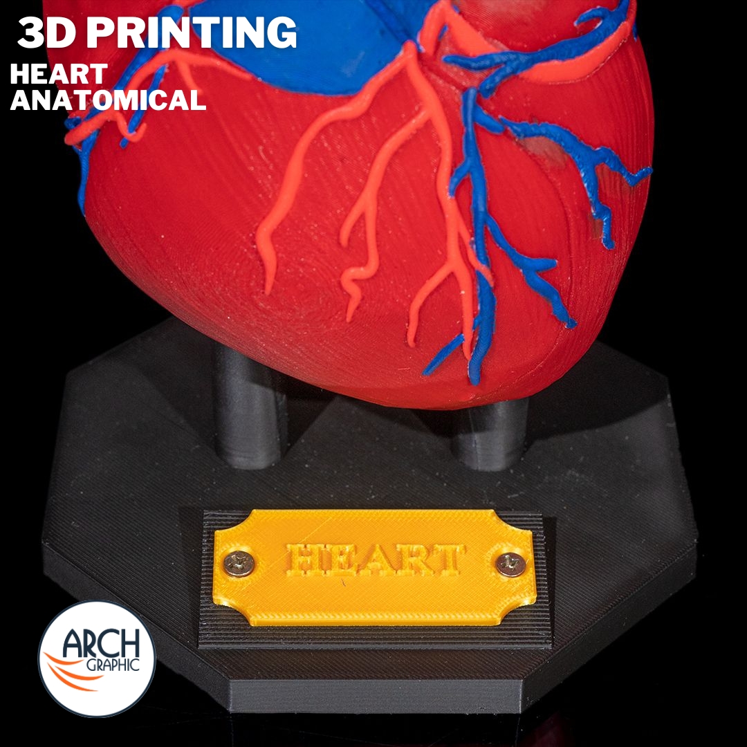 3d_archgraphic's tweet image. ❤️ 3D Printed Heart Anatomical Model 🔬
High-detail medical model for cardiology training, research, surgical planning.
arch-graphic.com
#3DPrintingUAE #Medical3DPrinting #HeartModel #CardiologyTraining #AnatomicalModels #SurgicalPlanning #Healthcare3DPrinting #UAE3DPrint