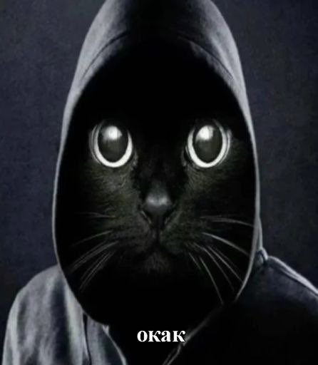 Роман Бакакин tweet media