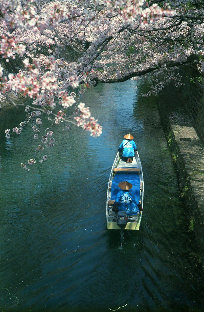 Gifu 
April 6 , 2021