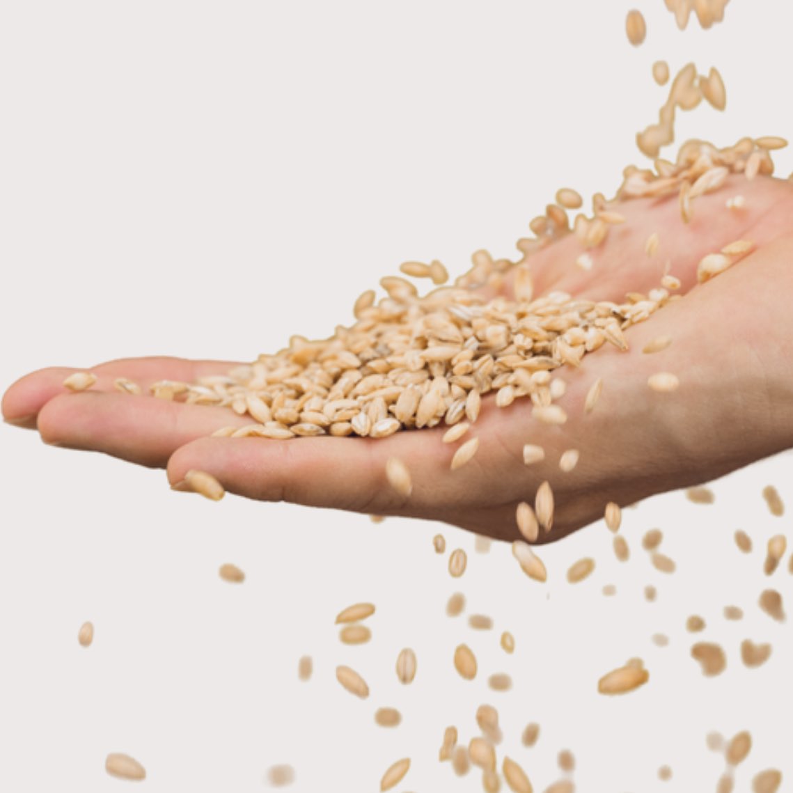 4444 Vâkıa Suresi okuduk. Duasını Kabe'de yapacağız.

Maddi sıkıntı çekenler adını yazsın yada nokta koysun. Duamıza katalım.

Gönderiyi paylaşalım ve sayfayı takip edelim.