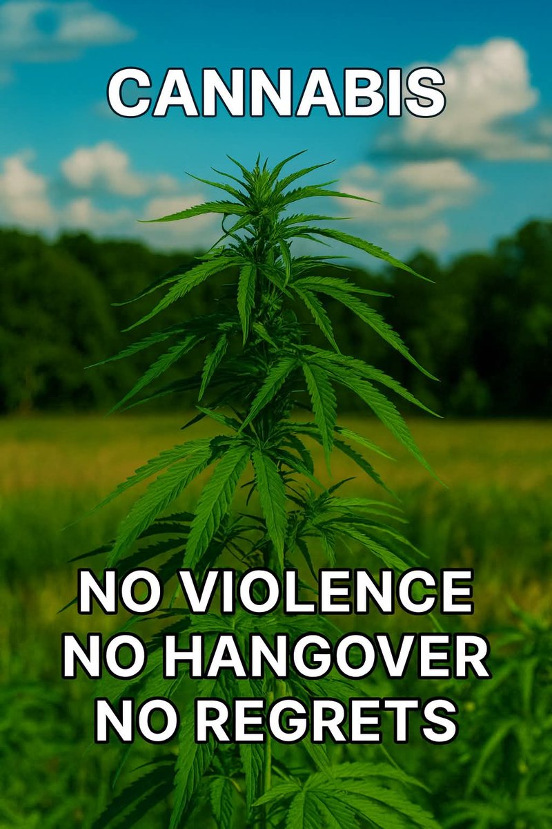 Canna World (@cannaworld4) on Twitter photo 