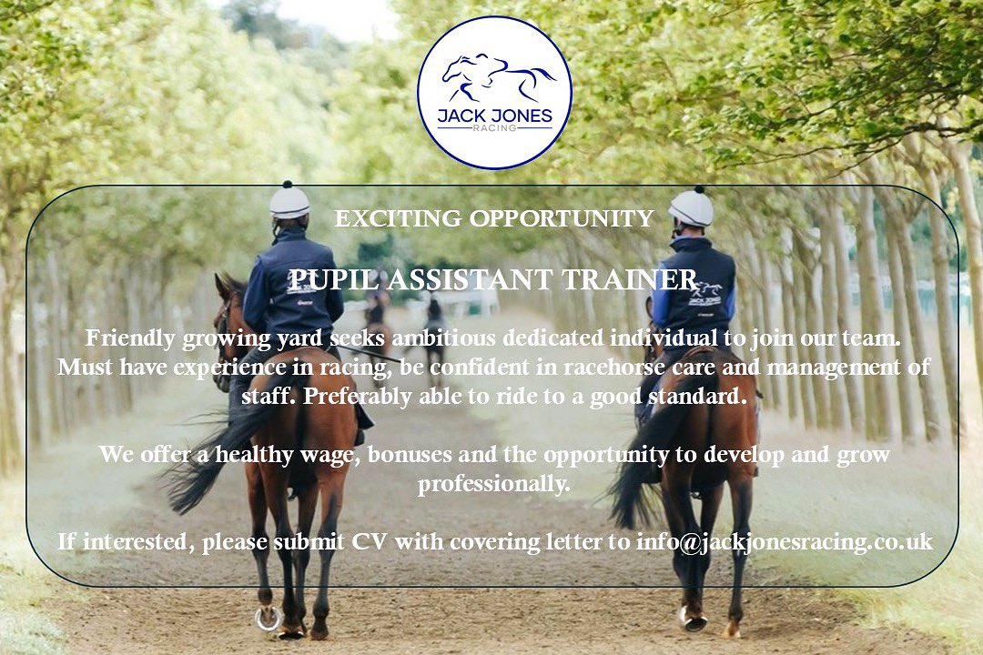 ❗️JOB OPPORTUNITY ❗️