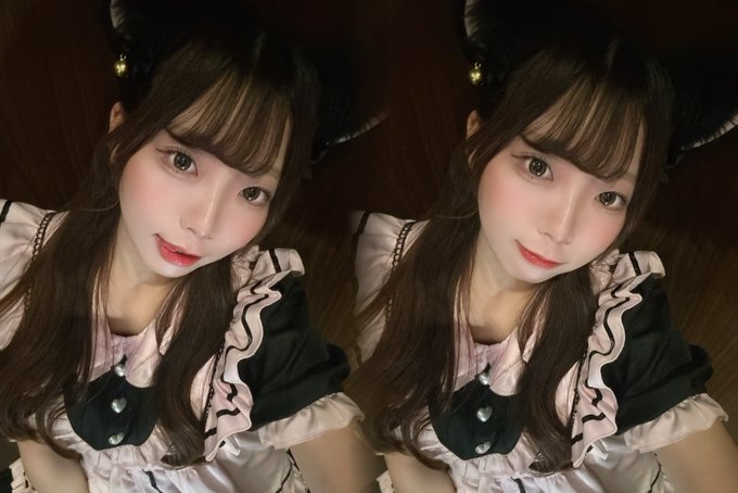池猫 ~池袋の猫たち~のツイート