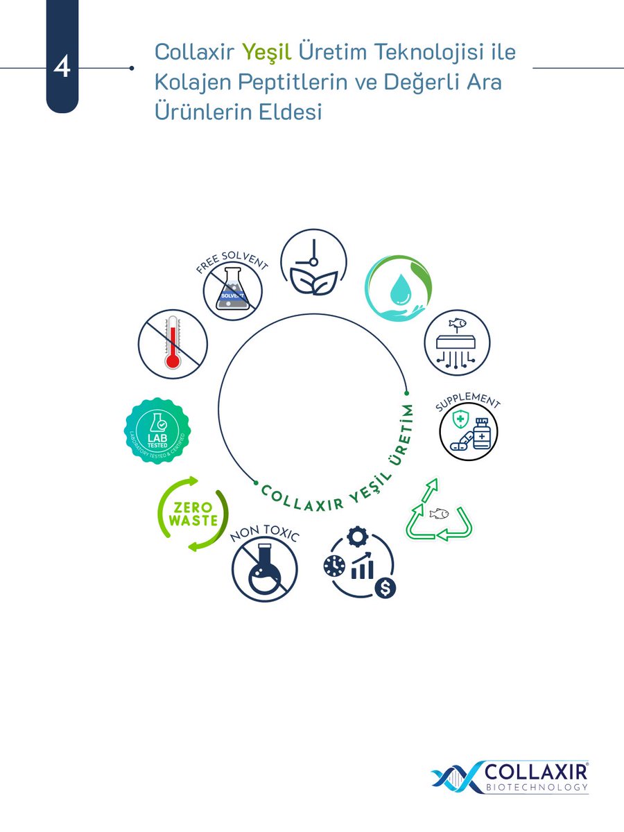 ♻️ Collaxir’in patent bekleyen yeşil teknolojisiyle, balık atıkları sıfır atık prensibiyle işlenir.
🌊 Hammadde temininde sürdürülebilir denizcilik ilkeleriyle, seçilmiş biyokaynaklar ileri Biyoteknoloji ile kolajen peptitlere ve değerli ara ürünlere dönüştürülür.
#collagen