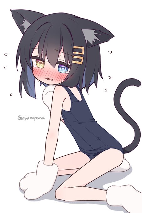 ココくんちゃん🐾 