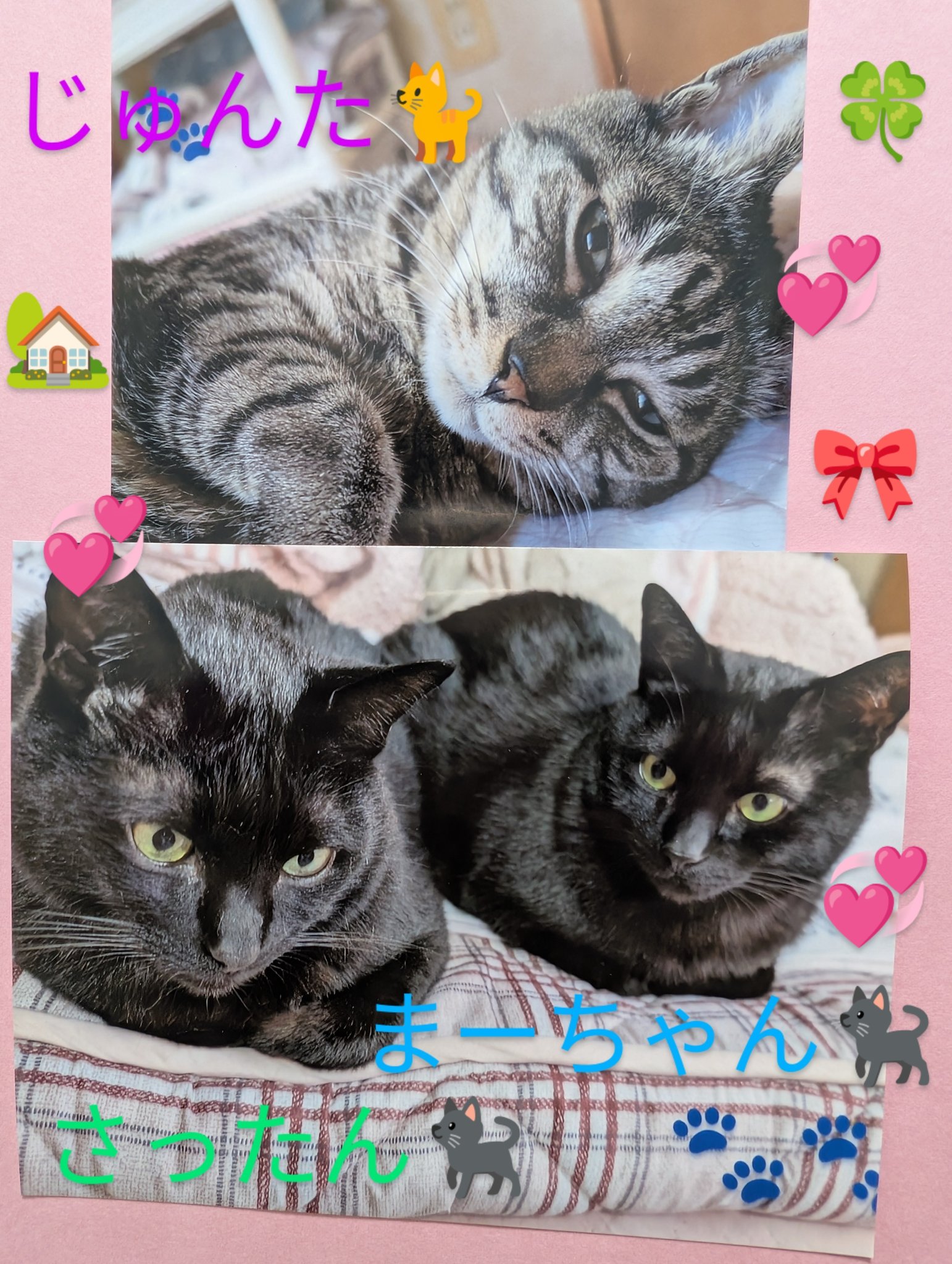 ⭐︎睦月ページ⭐︎のびねこ他⑧ ⭐︎睦月様専用ページ⭐︎のびねこ8種