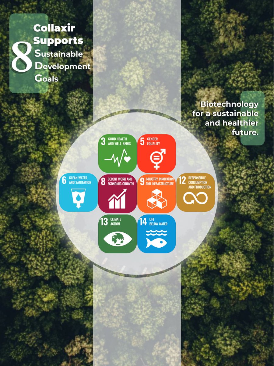 BM tarafından 2015 yılında belirlenen 17 SDG ile 2030 yılına kadar tüm dünyada sürdürülebilir bir dönüşümü hedeflemektedir.
🌍Collaxir olarak bu küresel vizyonu benimsiyor, 8 SDG’ye doğrudan katkı sağlıyoruz.
#Collaxir #collagen #Sustainability #SDGs #GreenTechnology