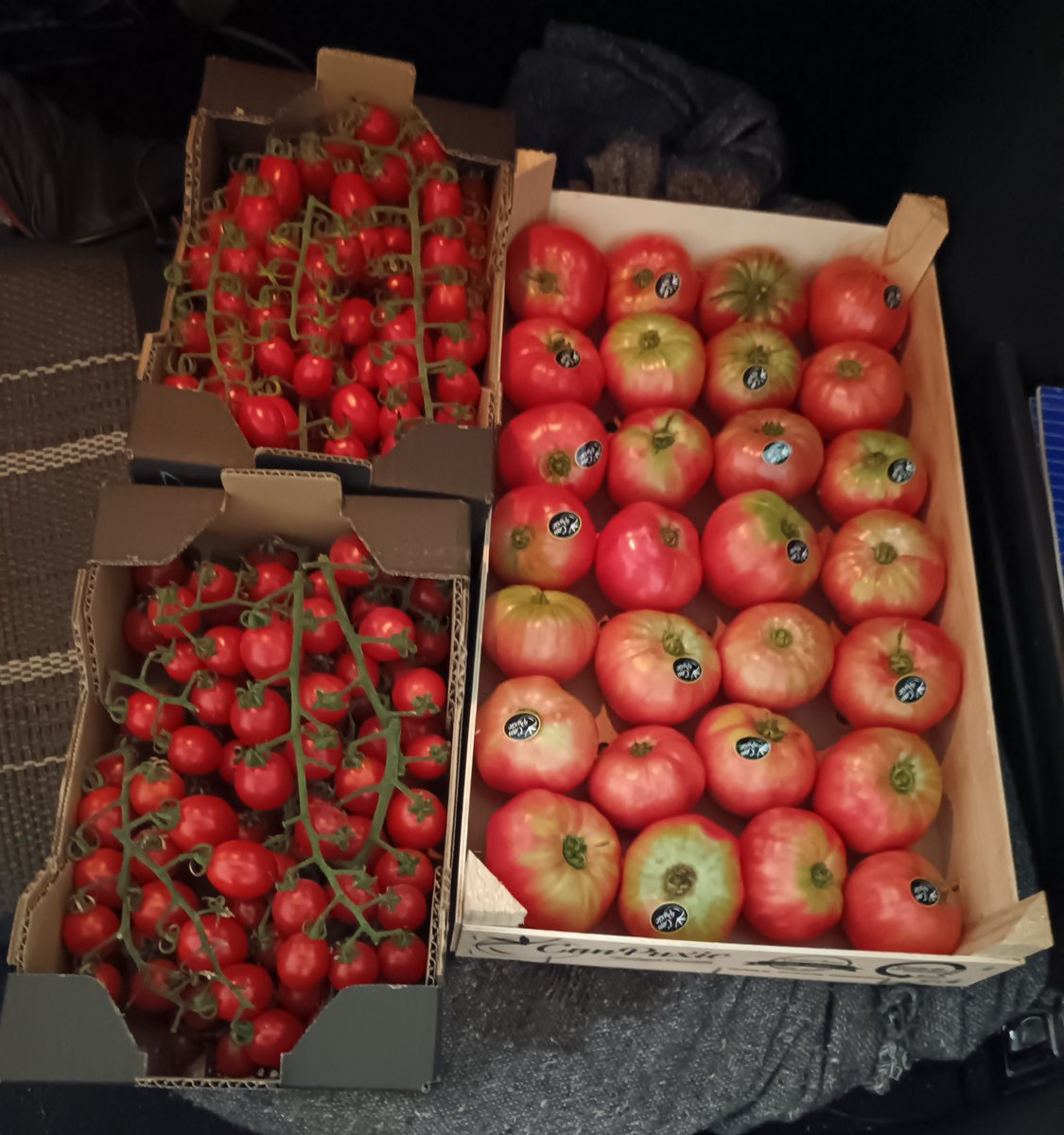 Los últimos de temporada!
Del Maresme "como no"