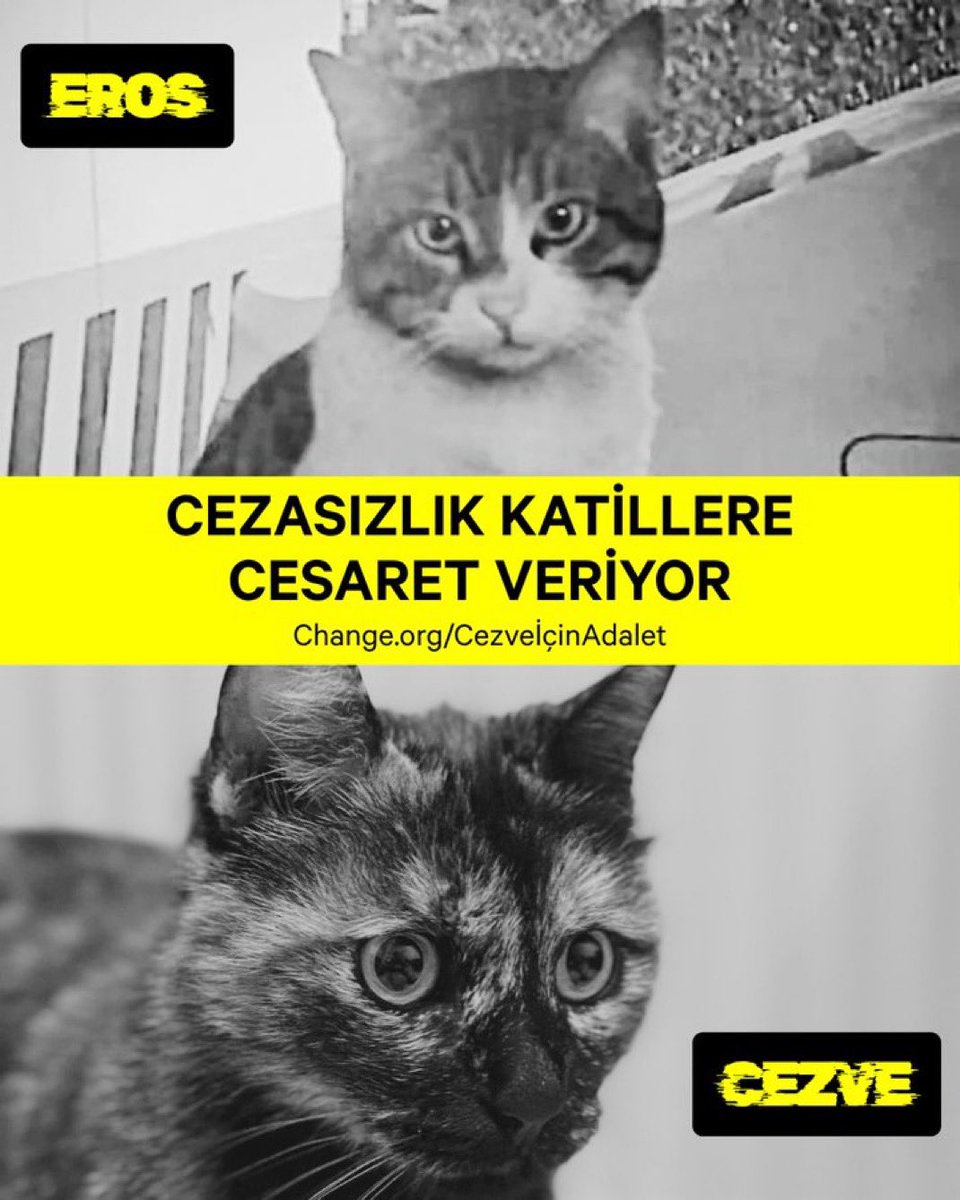 Tutuklandı ama unutmayın. Yasa değişmeli..