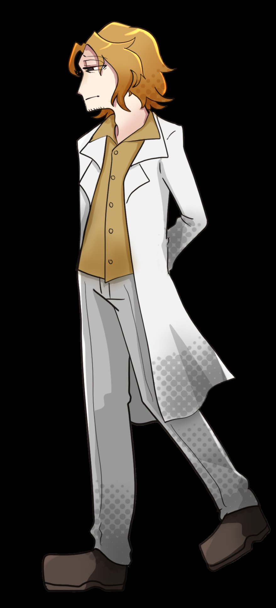 ゆ*ー様 Nの筋描きsar Nの筋書き SAR Nの筋書き【SAR】{173/086} - カードラッシュ[ポケモン]