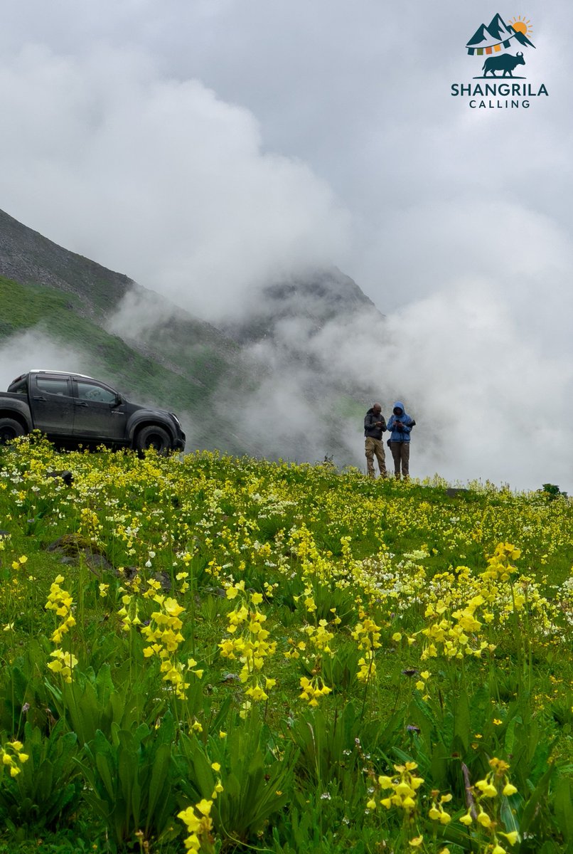 The ethereal beauty of Mago valley❤️

<a href="/PemaKhanduBJP/">Pema Khandu པདྨ་མཁའ་འགྲོ་།</a>