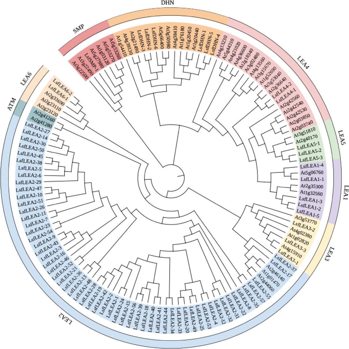 Forestry Research (@forestryres) on Twitter photo #ForestryRes #genes #stress #resilience
Sweetgum's LEA genes: Key to somatic embryogenesis efficiency. 79 genes mapped; light & hormone response revealed. 🌱🧬🌳
<a href="/MaximumAcademic/">Maximum Academic</a> <a href="/AbioticStress/">Abiotic stress in plants (Green Survivors)</a> <a href="/PPhenomics/">Plant Phenomics</a>
Details: maxapress.com/article/doi/10… #ForestryRes #genes #stress #resilience
Sweetgum's LEA genes: Key to somatic embryogenesis efficiency. 79 genes mapped; light & hormone response revealed. 🌱🧬🌳
<a href="/MaximumAcademic/">Maximum Academic</a> <a href="/AbioticStress/">Abiotic stress in plants (Green Survivors)</a> <a href="/PPhenomics/">Plant Phenomics</a>
Details: maxapress.com/article/doi/10…