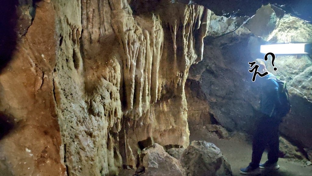 葛生の化石館を見学してから宇津野洞窟。涼しー！出たくねー！化石館で色々説明受けたあとだから洞窟の造形の感覚ネーミングに笑う。乳房石とか。